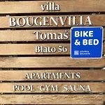 Bougenvilia Tomas Tučepi