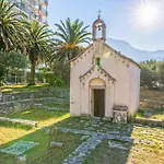 Bougenvilia Tomas