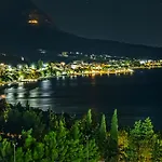 Bougenvilia Tomas 3*