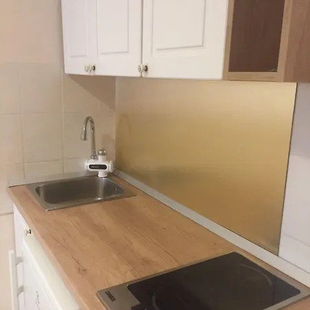 Bougenvilia Tomas 3*