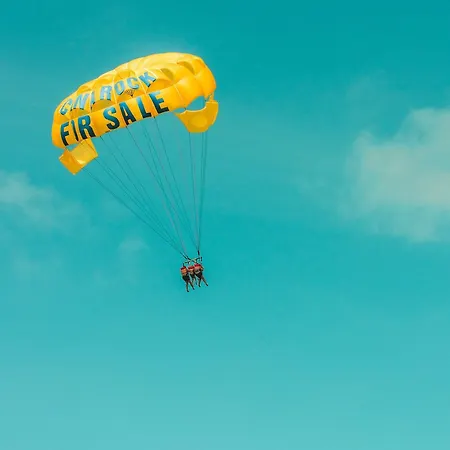 Bougenvilia Tomas 3*