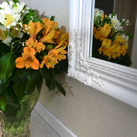 Bougenvilia Tomas Тучепи