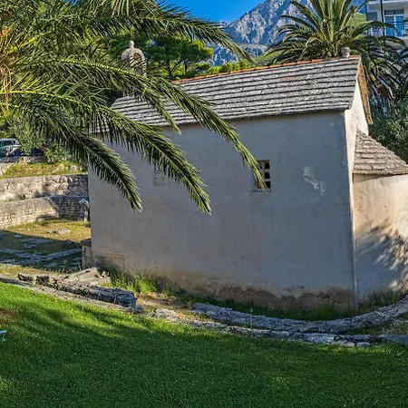 Bougenvilia Tomas