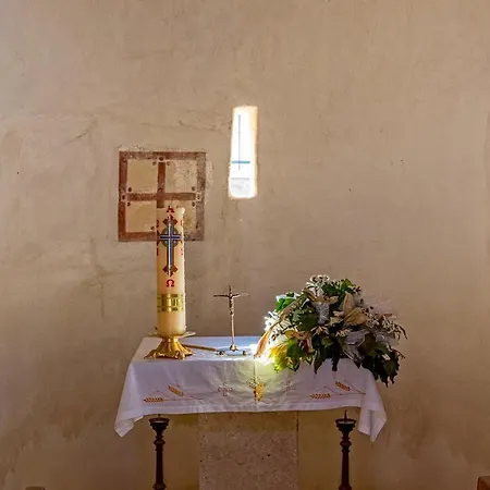 Bougenvilia Tomas Тучепи