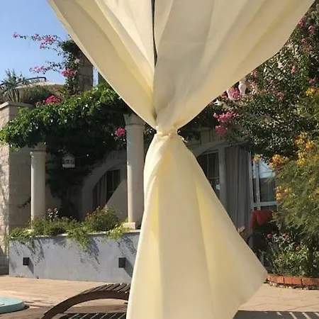 Bougenvilia Tomas 3* Тучепи