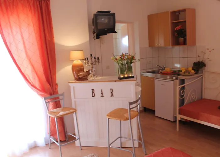Bougenvilia Tomas 3*