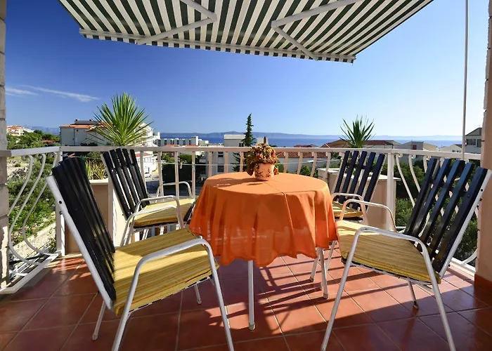 Bougenvilia Tomas 3*