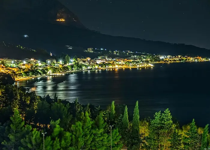 Bougenvilia Tomas 3*