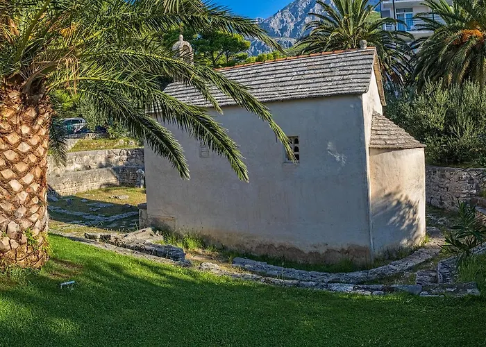 Bougenvilia Tomas