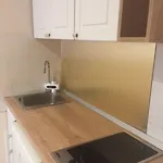 Bougenvilia Tomas 3*