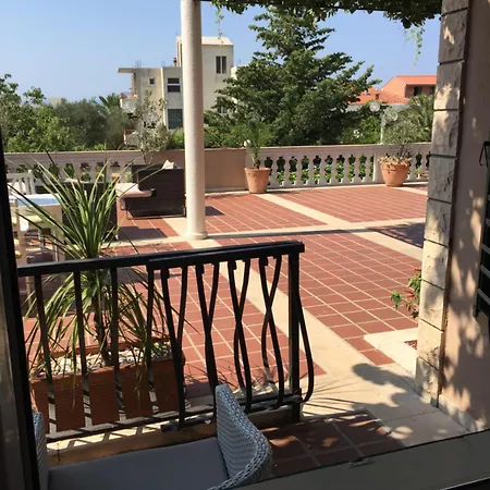 Bougenvilia Tomas 3*