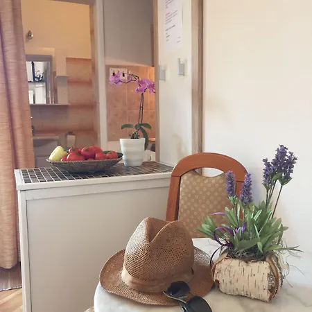 Bougenvilia Tomas 3*