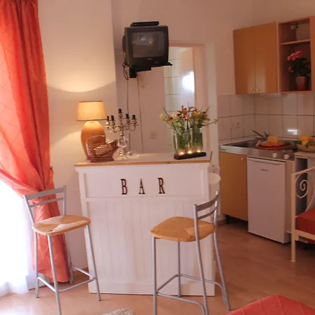 Bougenvilia Tomas 3*