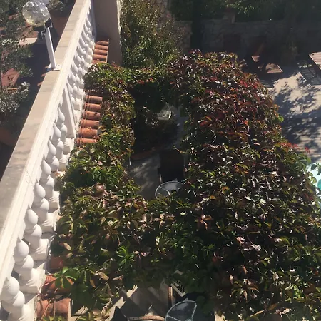 Bougenvilia Tomas Apartahotel