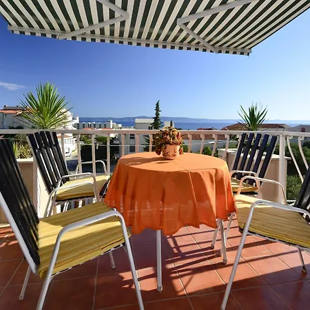 Bougenvilia Tomas 3*