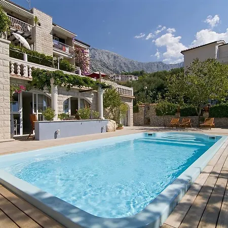 Bougenvilia Tomas 3*