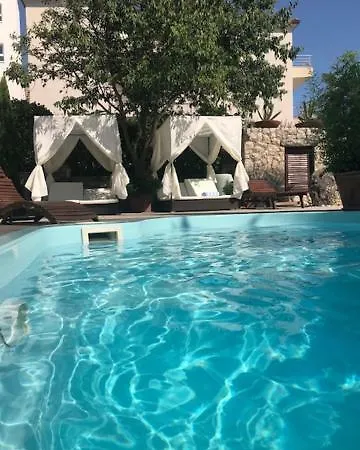 Bougenvilia Tomas 3*